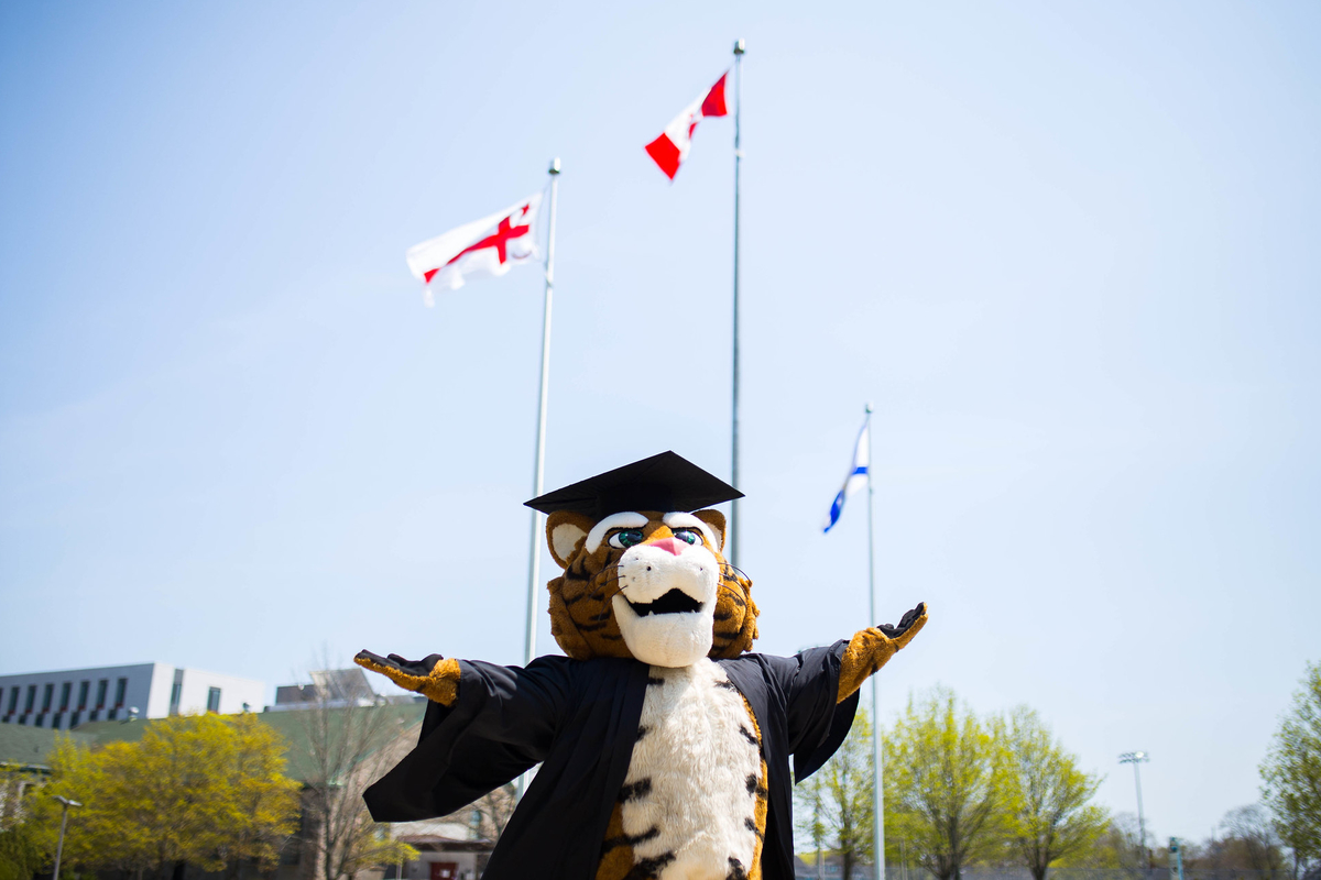 The Dal Tiger mascot wears a graduation cap and gown and stands outside, arms spread wide.