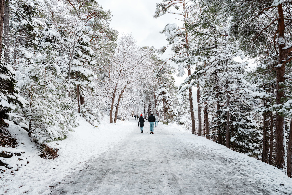 People walking along a snow-covered path in a forest