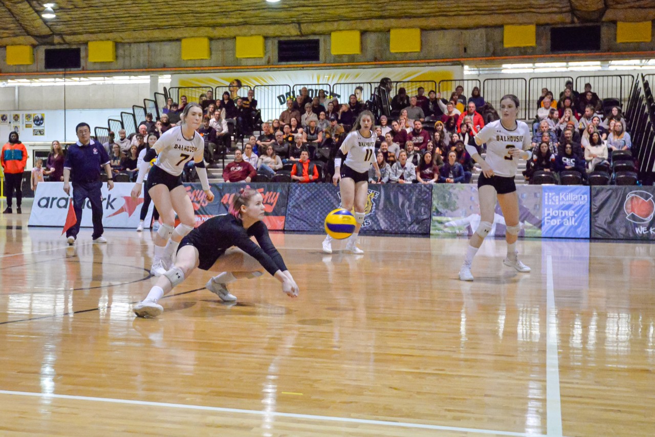 Women's Volleyball, Game 2 v SMU (photo: Trevor MacMillan)