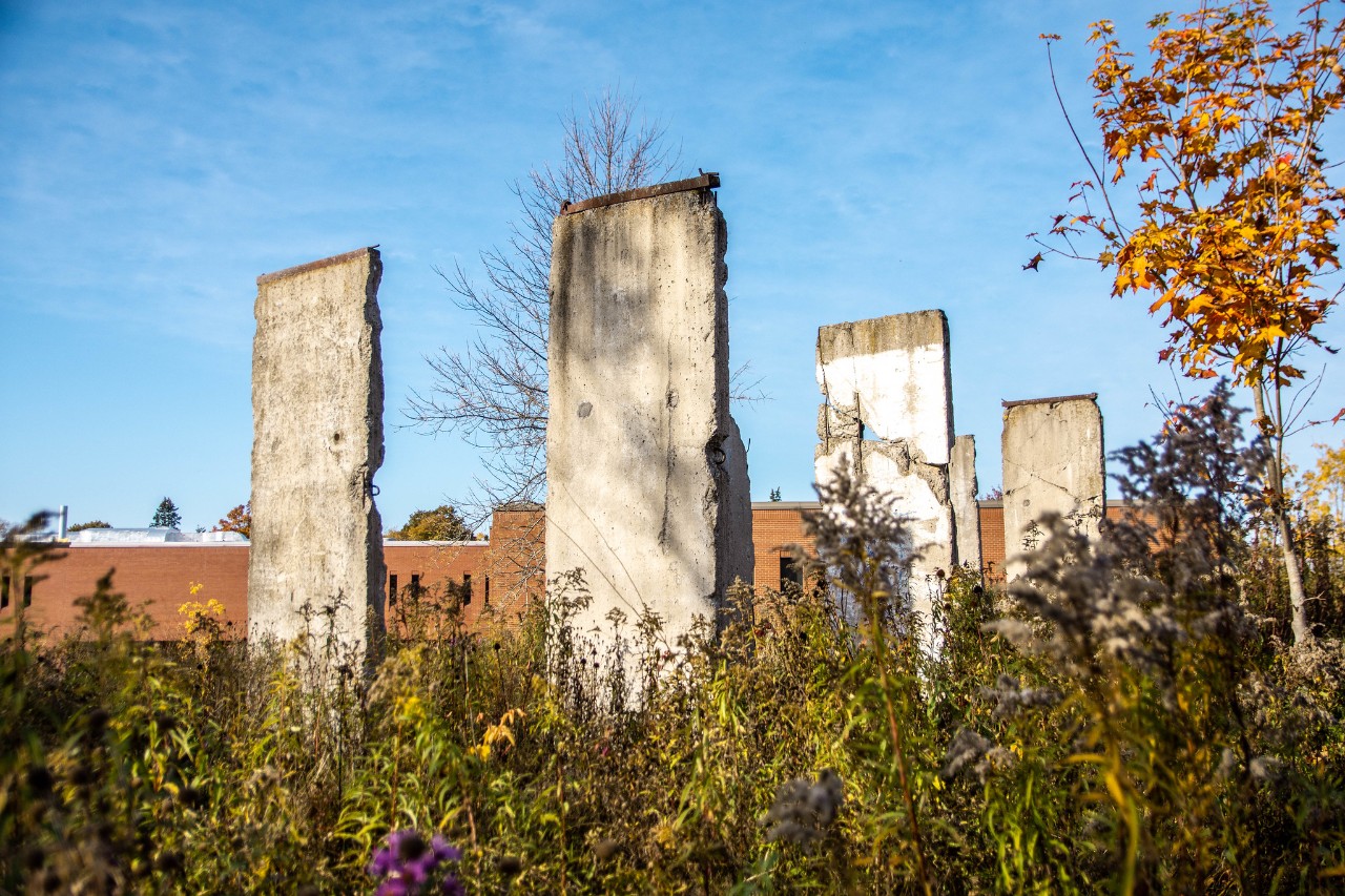 Berlin Wall sections, Agricultural Campus (photo: Mikahla Dorey)