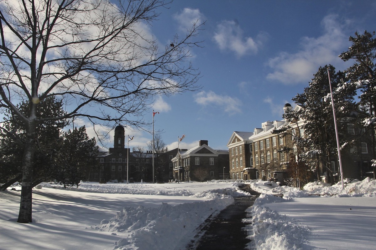 Dalhousie's Studley Quad covered in snow
